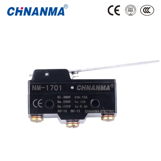 Nm-13 Series 3A-16A 250VAC Micro Switch Push Button Switch